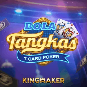 Bingo Game Provider 8